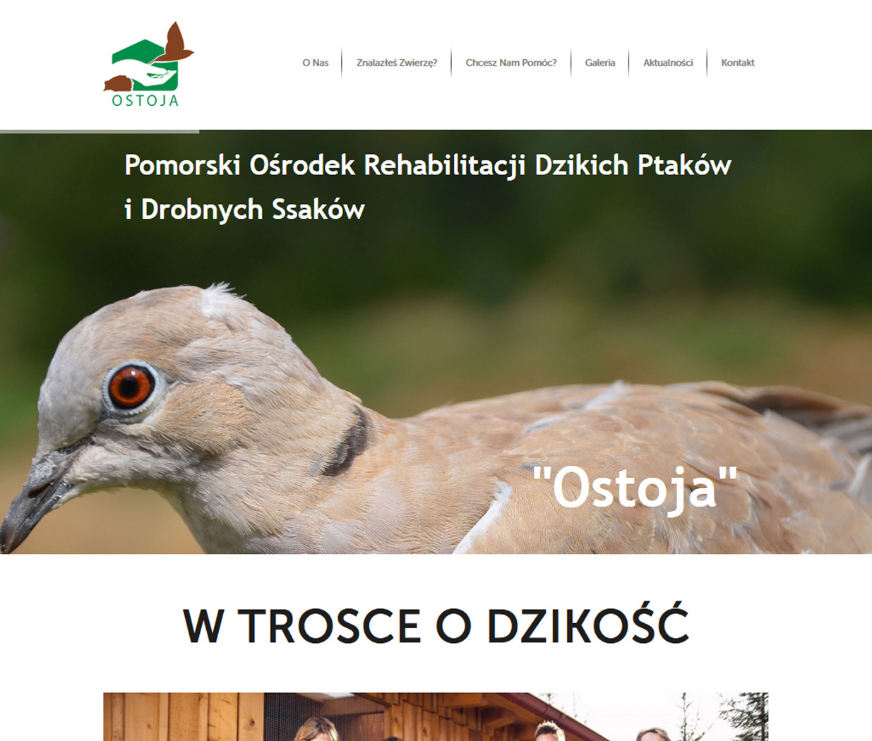 Projektowanie stron www Wordpress