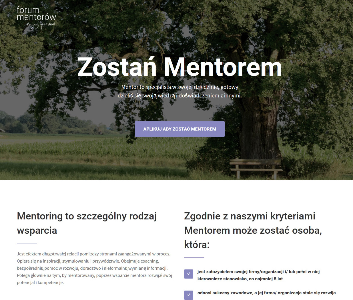 Projektowanie stron www Wordpress